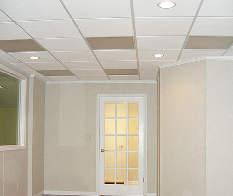 Bat Ceiling In Minnesota And Wisconsin Tile Total Bat Finishing Has A Ceiling System Uniquely Suited For Bats Drop Is Ideal Giving You Access To Plumbing And